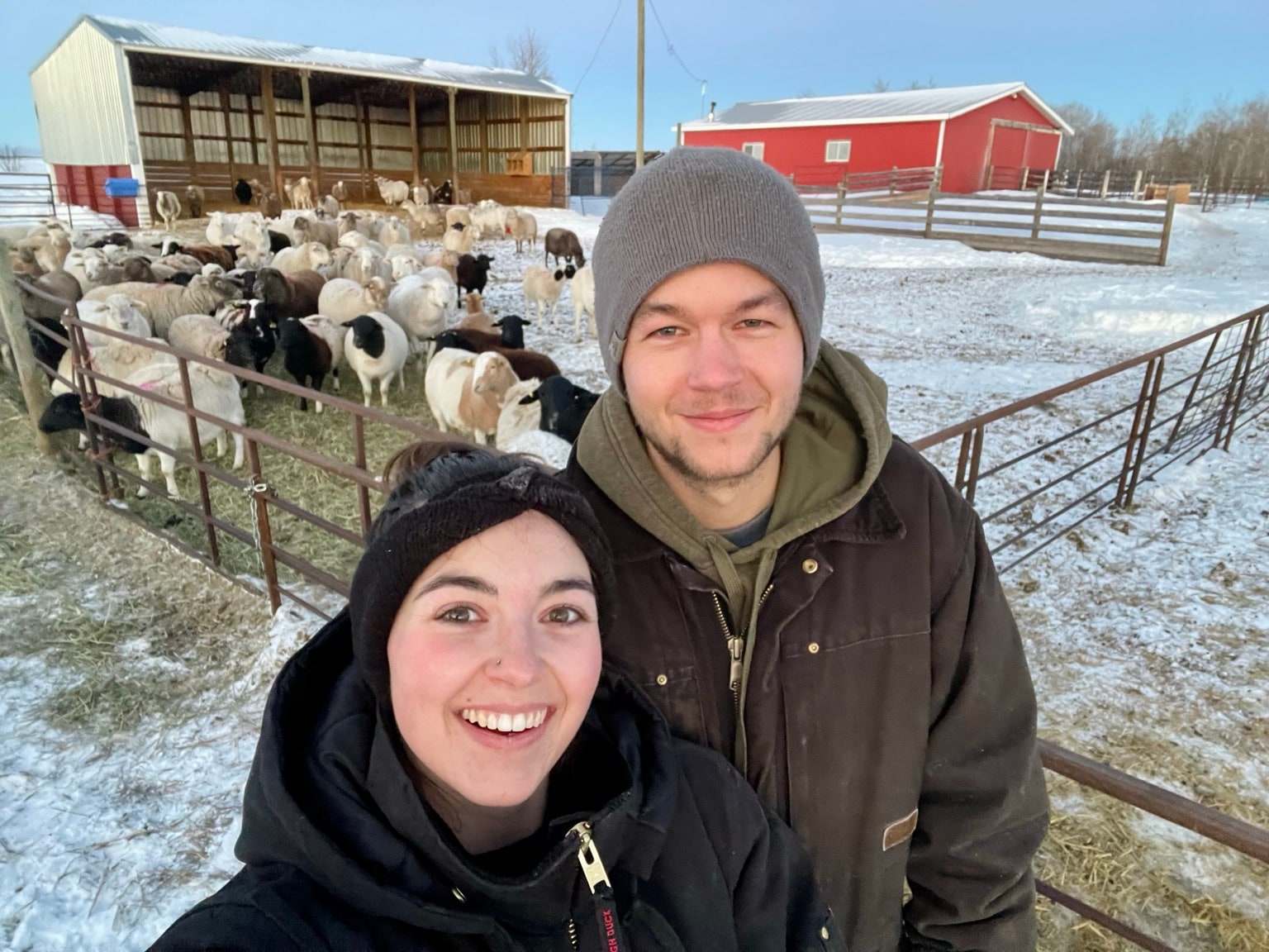 The founders in winter workwear in front of their sheep flock at the home corral, red barn and shelters behind.