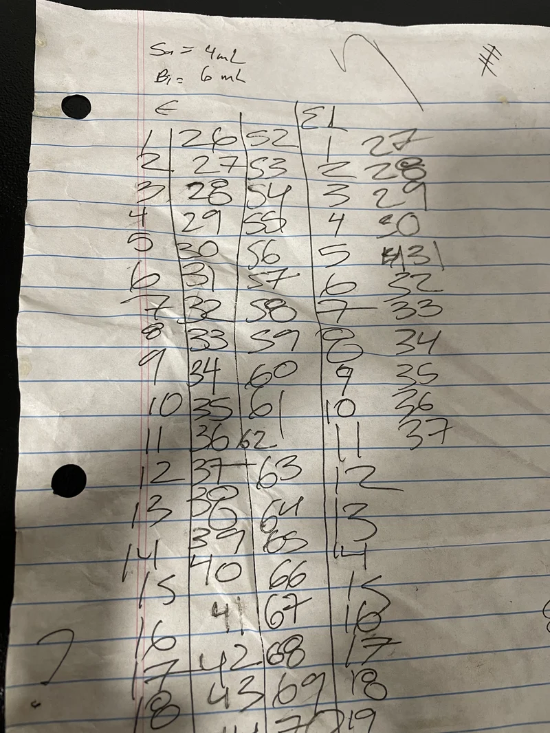 Handwritten counts of ewes and ewe lambs on lined paper.
